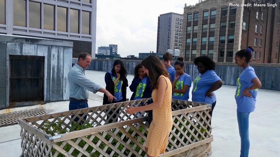 Group of people on a roof deck garden.