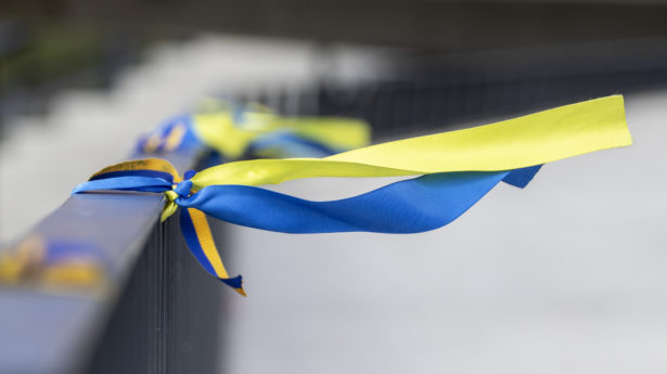 Ukrainian flag
