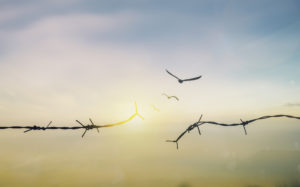 Broken barb wire in front of an early evening sky.