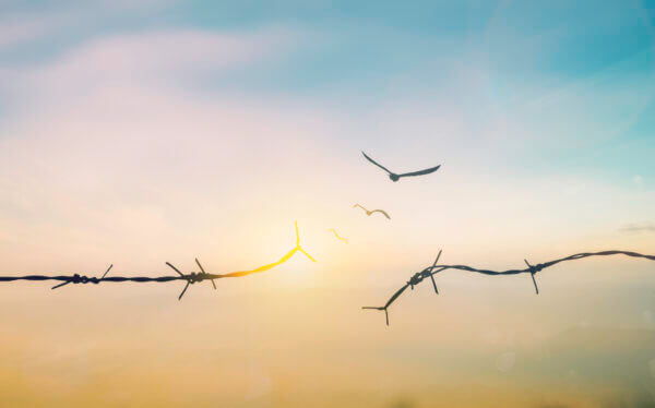 Broken barb wire in front of an early evening sky.