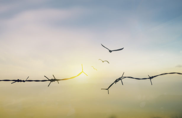 Broken barb wire in front of an early evening sky.