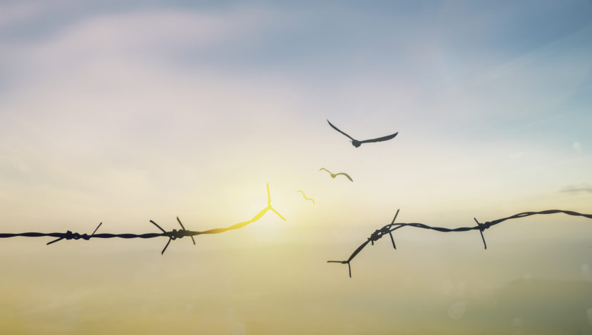 Broken barb wire in front of an early evening sky.