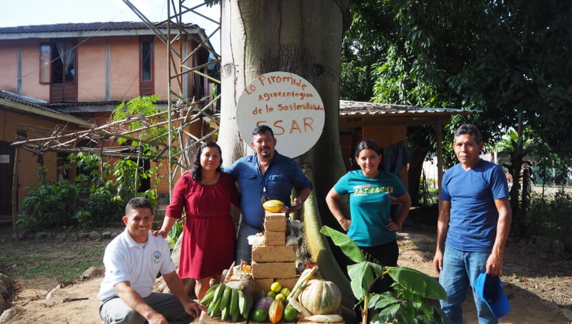 Fundación San Alonso Rodríguez (FSAR) standing in front of exhibition