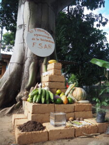 The pyramid (left) shows the building blocks of sustainable agriculture: The base needs soil, water, seeds, and sunlight