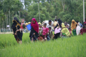 Rohingya