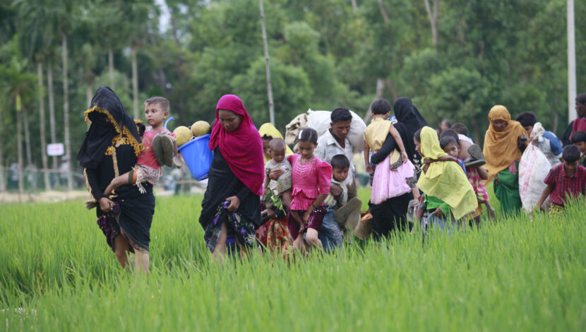 Rohingya