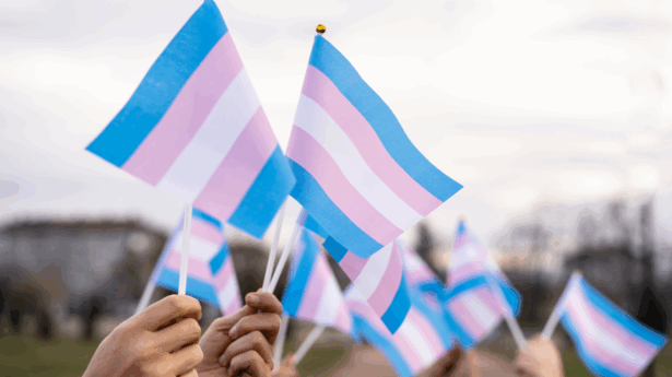 Trans flag waving with hands