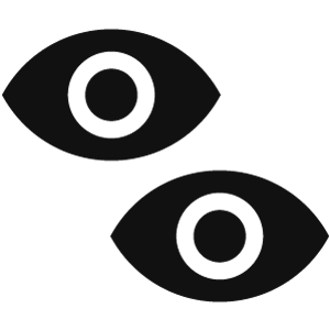 Icon: two eyes
